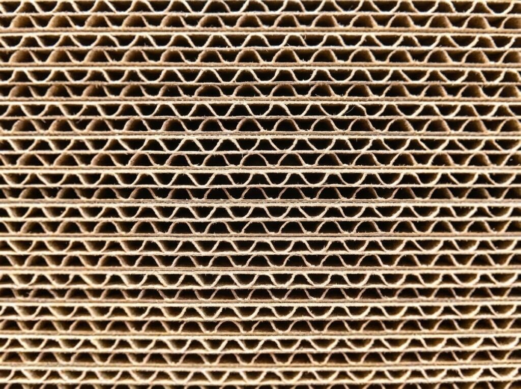 段ボールの断面